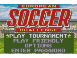 European Soccer Challenge [Atari Lynx]