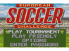 European Soccer Challenge [Atari Lynx]