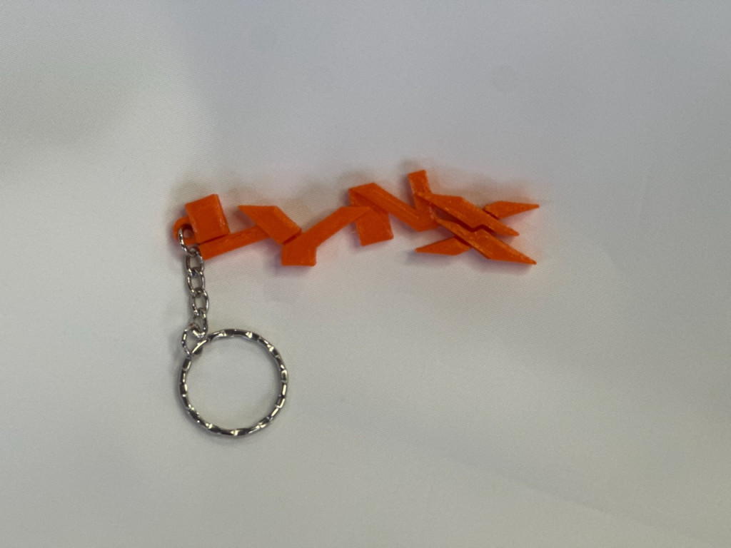 Lynx Keyring