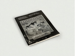 Basketbrawl - Cartridge + Manual only [Atari Lynx]