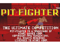 Pit Fighter - CIB ex-Display Unit [Atari Lynx]