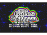 Gates of Zendocon - Big Box [Atari Lynx]